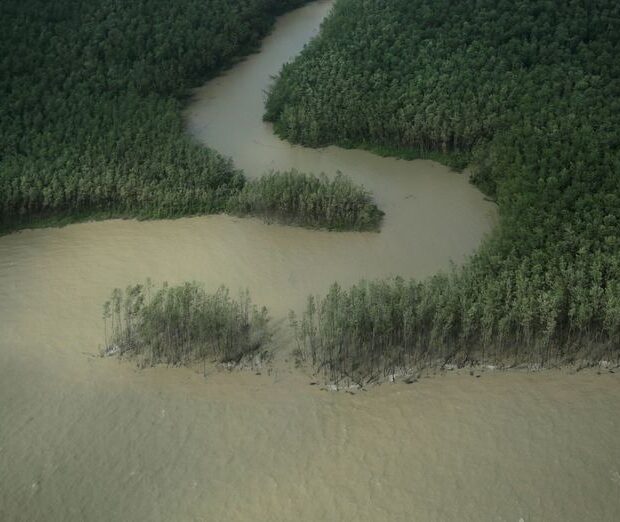 Costa do Amapá