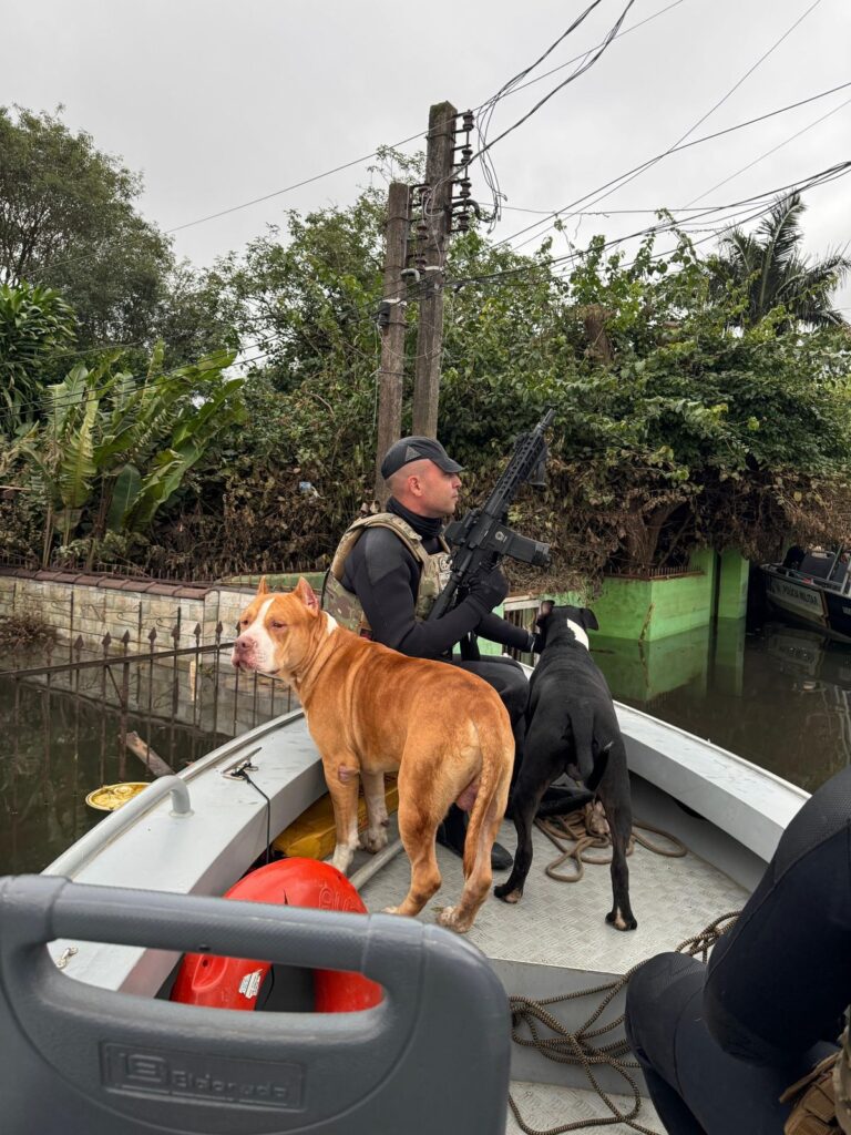 whatsapp image 2024 07 08 at 18.32.26