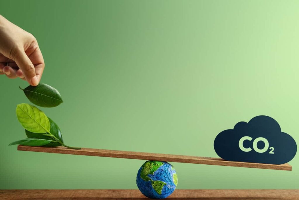 whatsapp image 2024 07 10 at 12.34.49