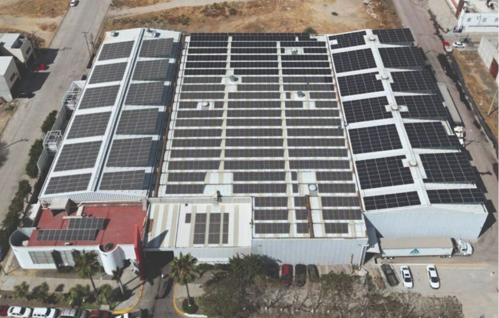 whatsapp image 2024 07 10 at 13.50.05 1