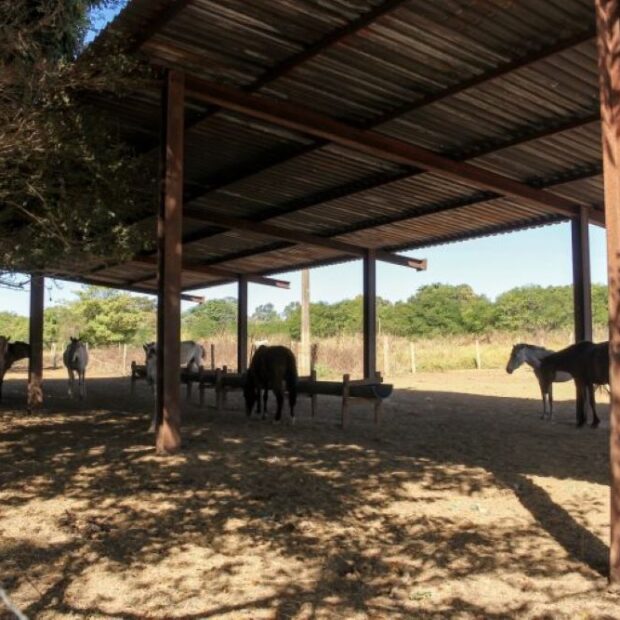 whatsapp image 2024 07 12 at 17.22.12 768x512