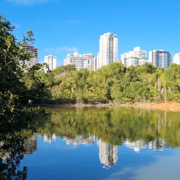 5.5. parque aguas claras. foto divulgacao brasilia ambiental 2 1