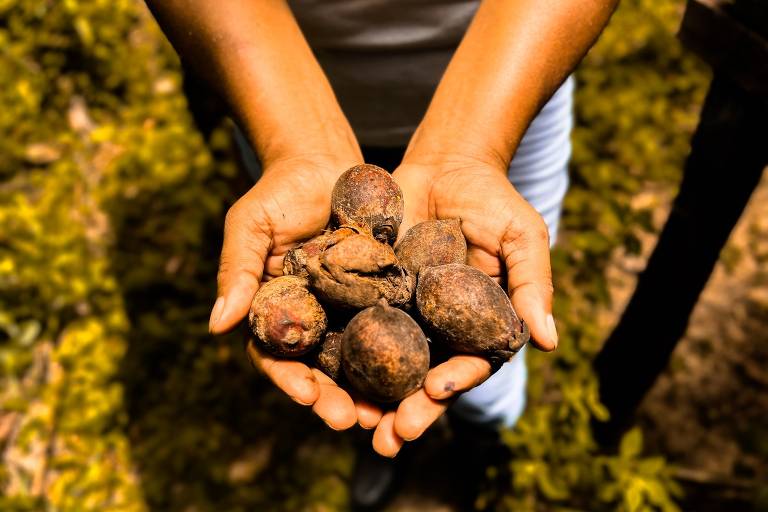 whatsapp image 2024 07 17 at 10.01.37 (1)