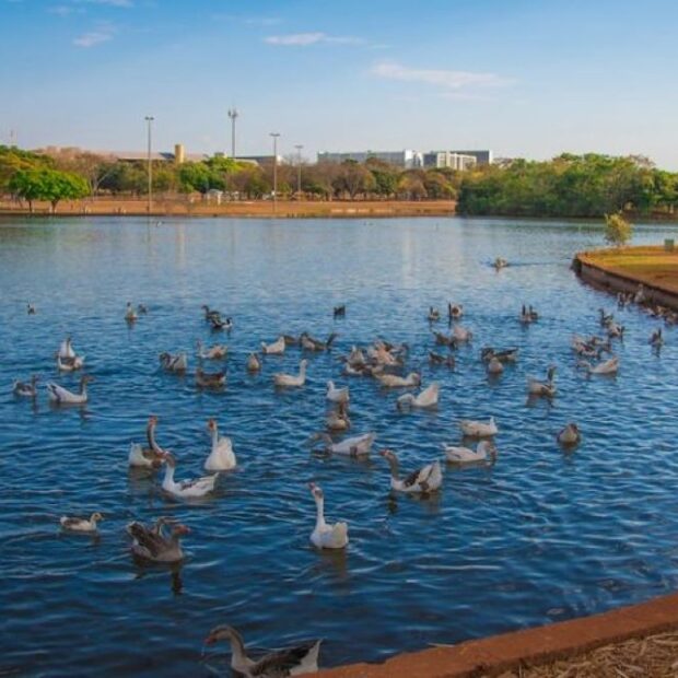 whatsapp image 2024 07 17 at 12.01.10 1 768x512