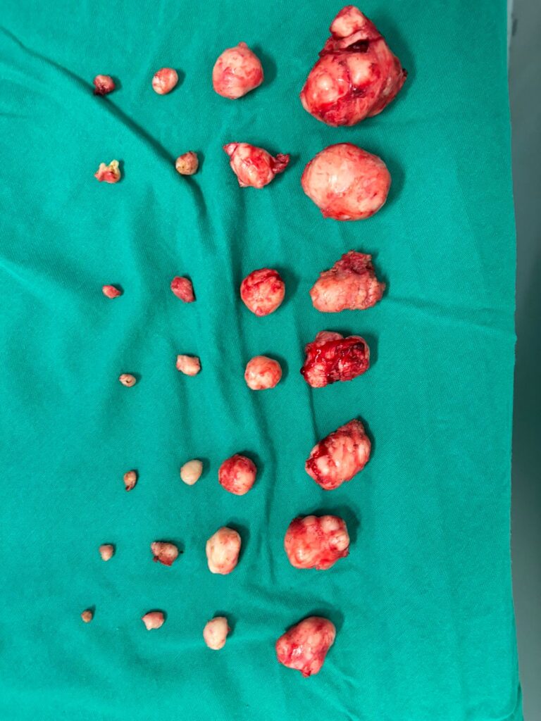 whatsapp image 2024 07 17 at 16.28.28 (1)