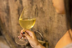 whatsapp image 2024 07 18 at 10.29.11