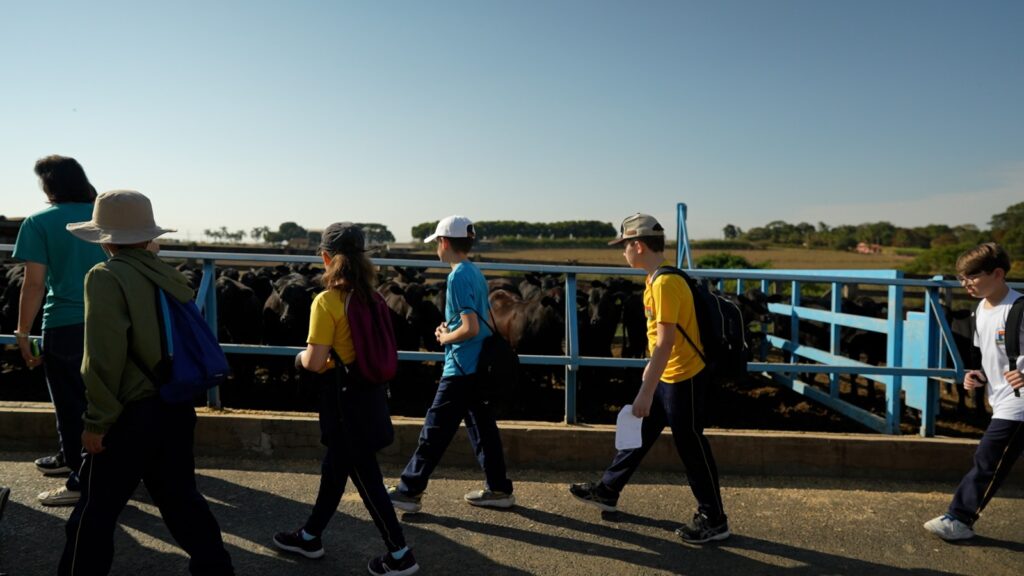 whatsapp image 2024 07 18 at 10.30.20 (2)