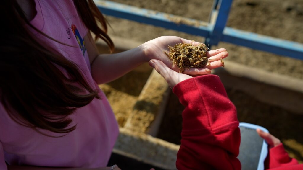 whatsapp image 2024 07 18 at 10.30.21 (1)