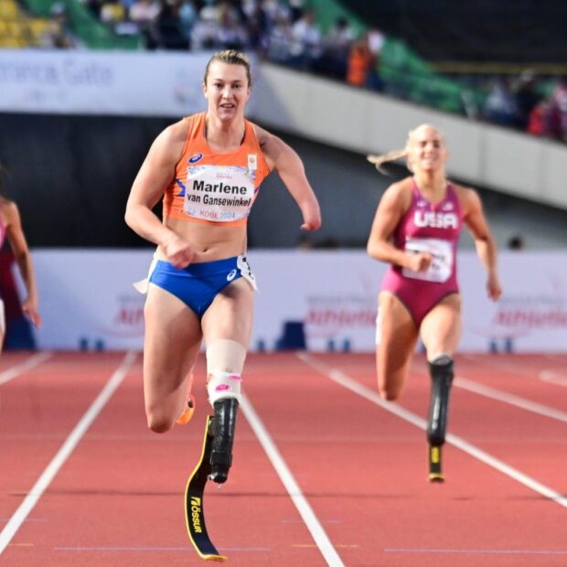 6679f4e4 323c 4f30 b0a7 b3390adebc86