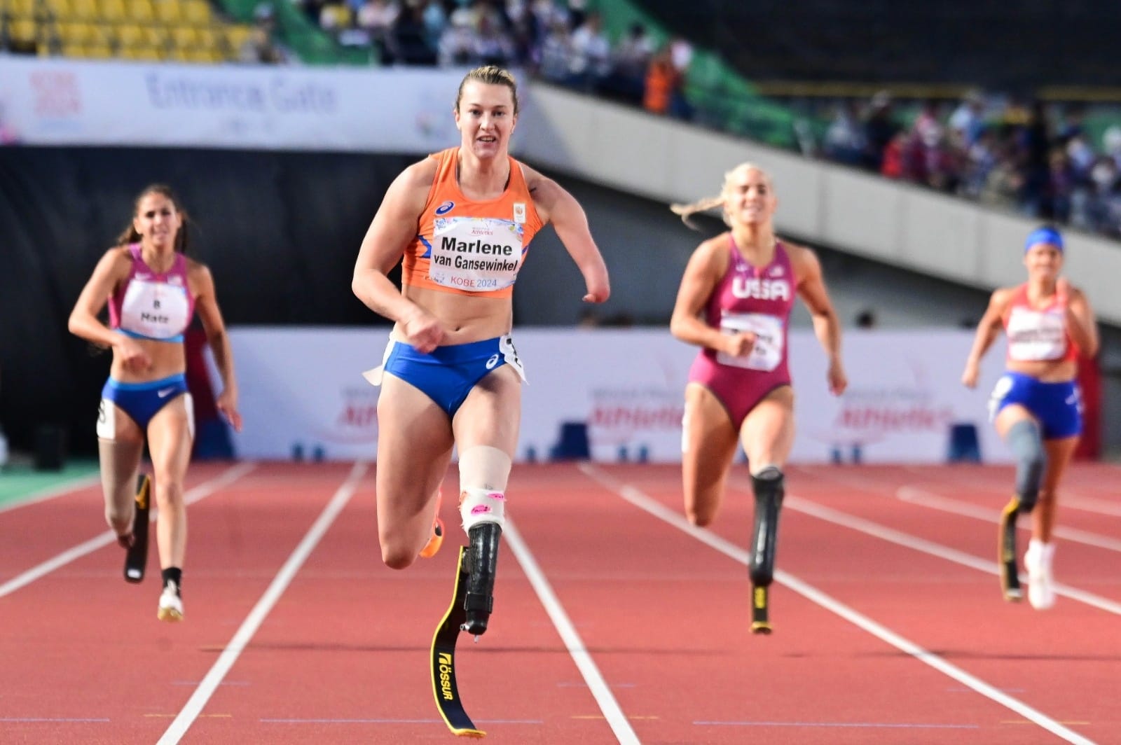 6679f4e4 323c 4f30 b0a7 b3390adebc86