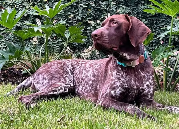 captura de tela 2024 07 19 073033