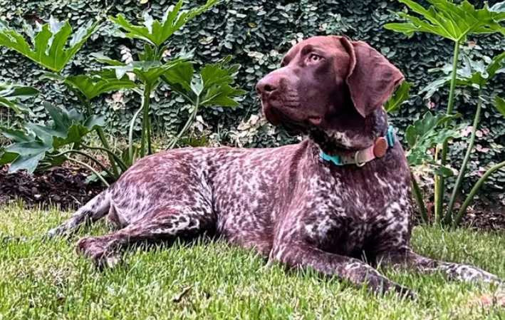 captura de tela 2024 07 19 073033