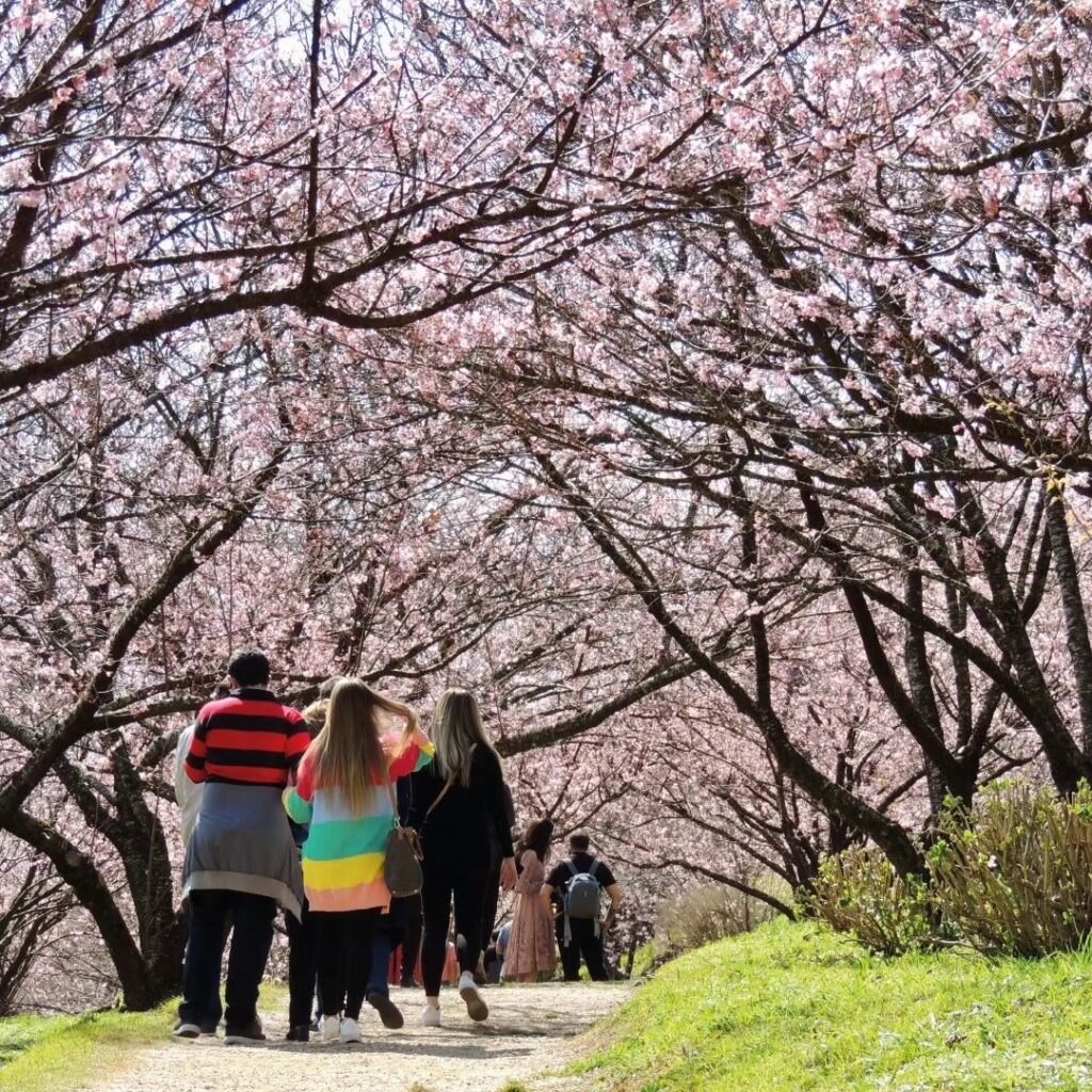 whatsapp image 2024 07 19 at 15.11.59 (1)