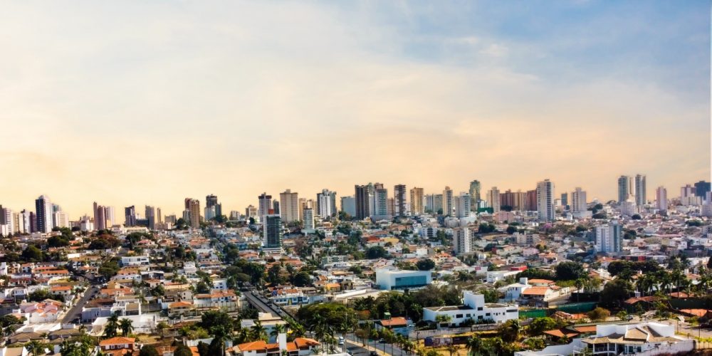 whatsapp image 2024 07 19 at 15.54.26 (3)