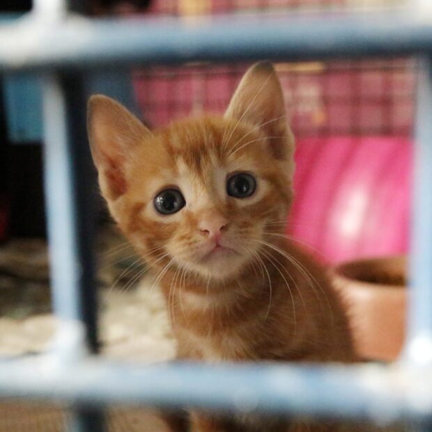 whatsapp image 2024 07 19 at 17.14.17 1536x1023