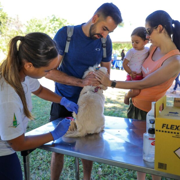 whatsapp image 2024 07 17 at 13.42.36