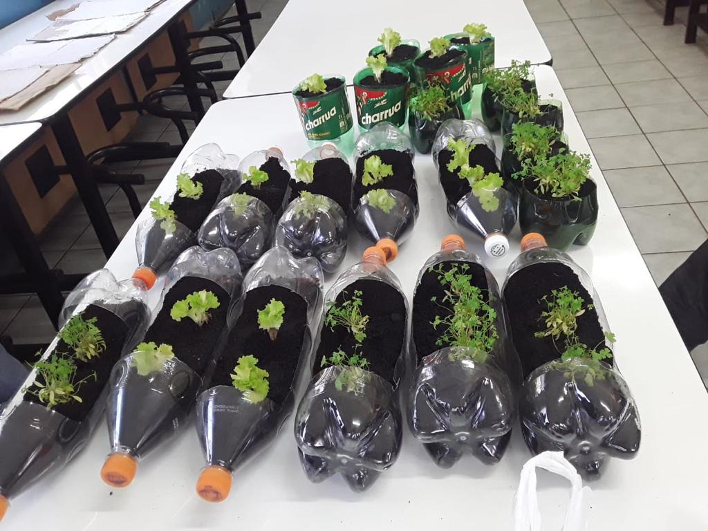 whatsapp image 2024 07 22 at 09.55.00