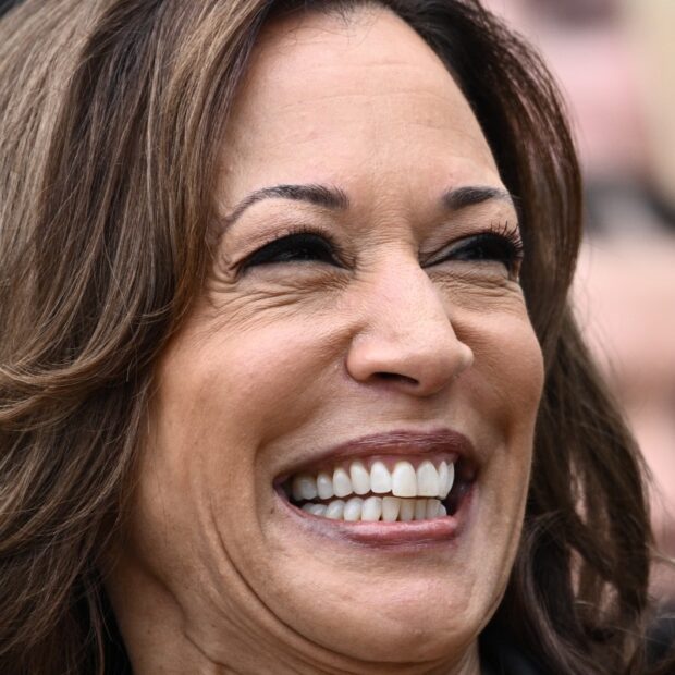 us politics vote biden harris