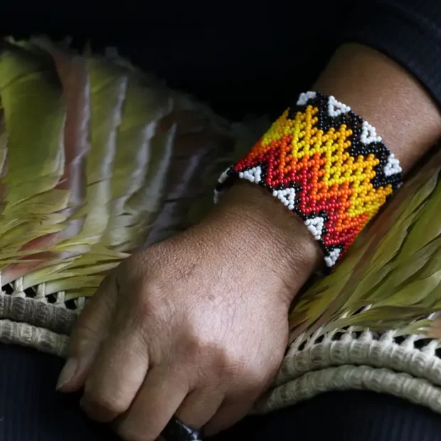indigena
