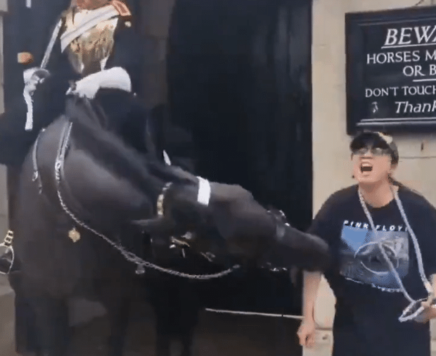 mulher foi mordida por cavalo da guarda real 1721672140603 v2 900x506