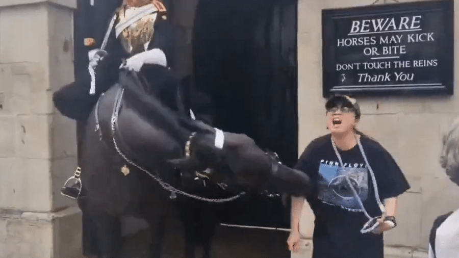 mulher foi mordida por cavalo da guarda real 1721672140603 v2 900x506