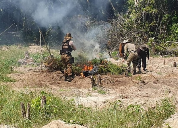 captura de tela 2024 07 23 063050