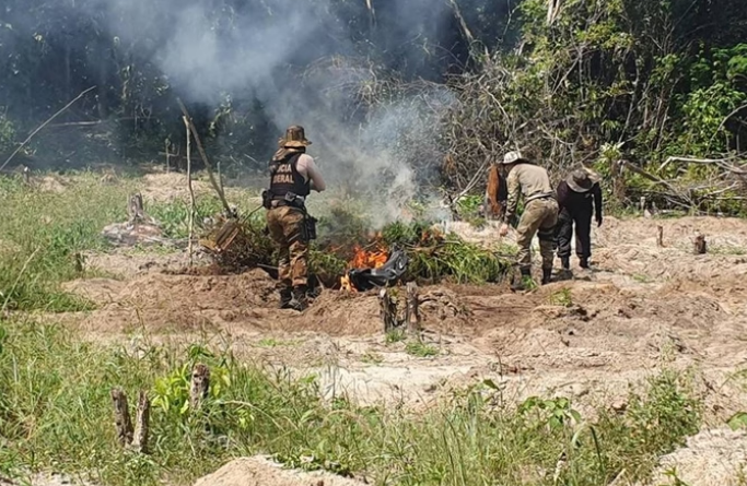 captura de tela 2024 07 23 063050