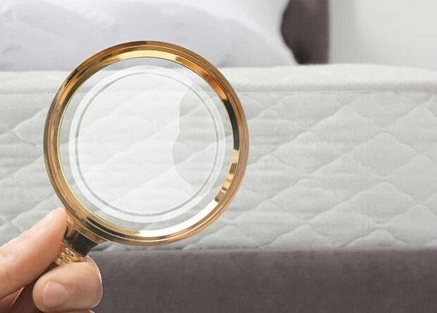 whatsapp image 2024 07 23 at 15.56.09