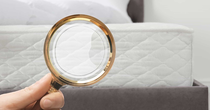 whatsapp image 2024 07 23 at 15.56.09