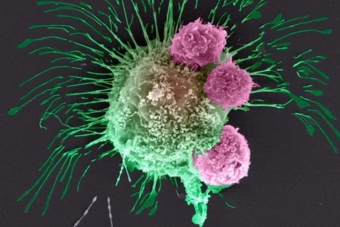 whatsapp image 2024 07 24 at 11.25.23 (1)