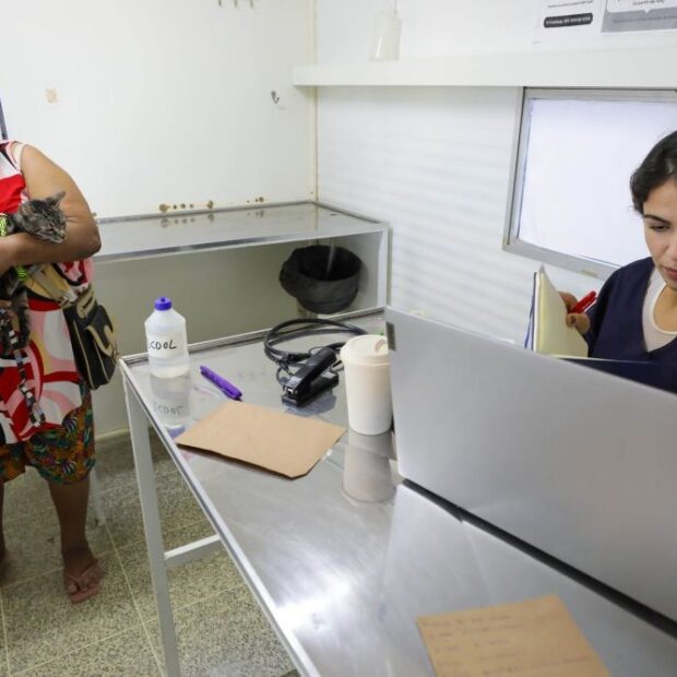 dentro 1 maria das gracas com a gata pequena 1920x1280