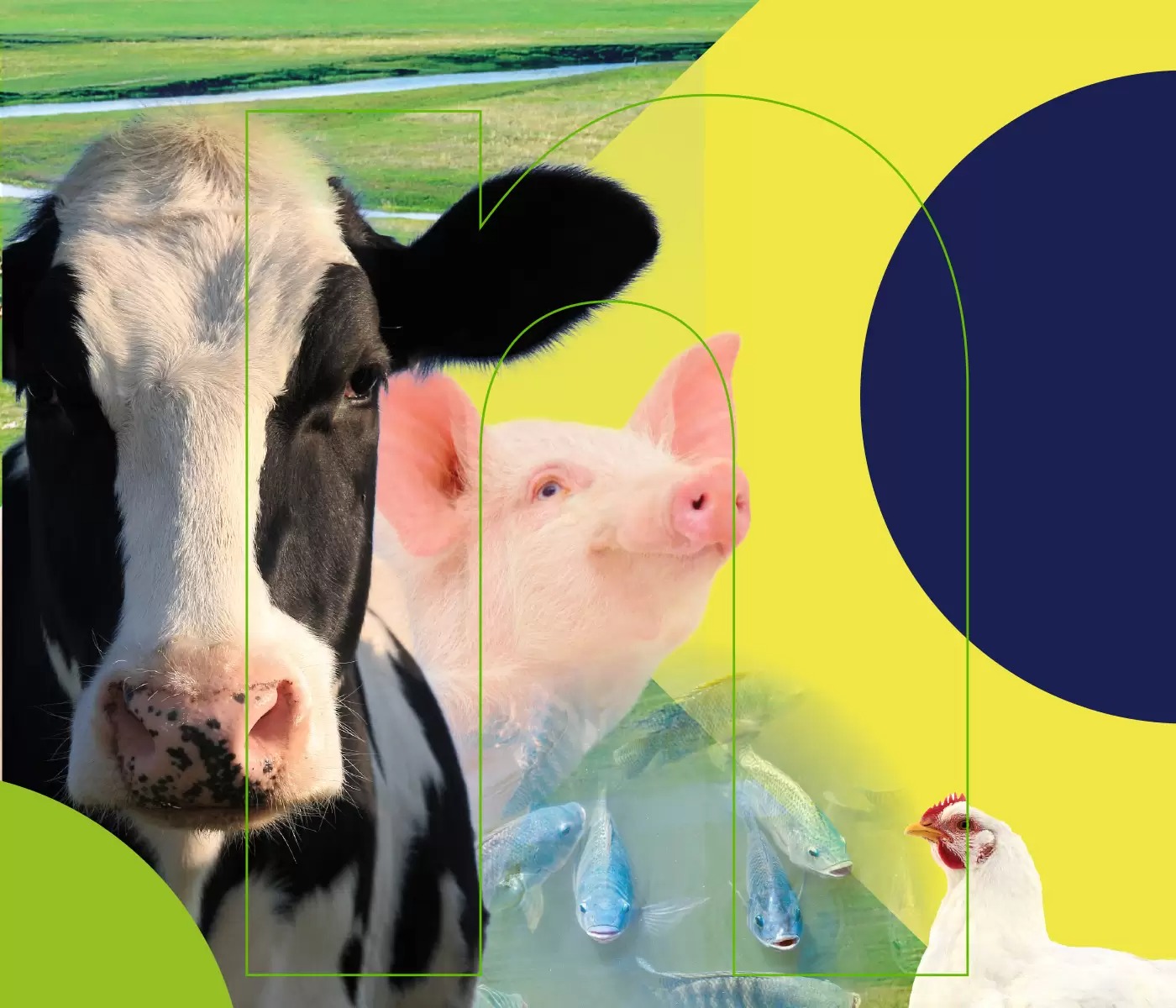 whatsapp image 2024 07 24 at 15.25.09 (1)