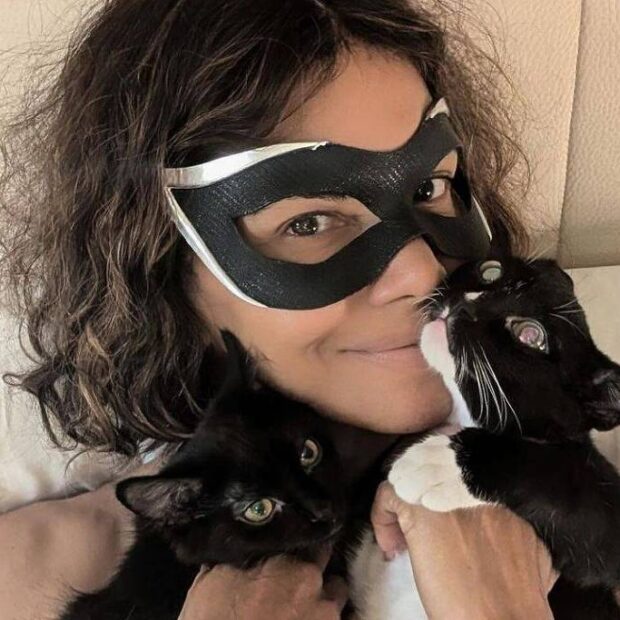 172187165466a1ad2664185 1721871654 3x2 lg