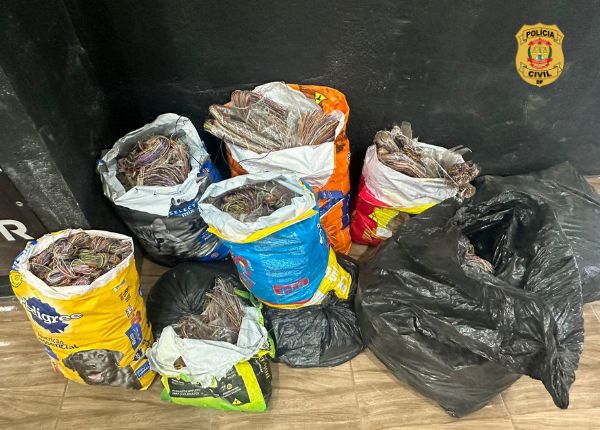 photo 2024 07 25 11 40 45