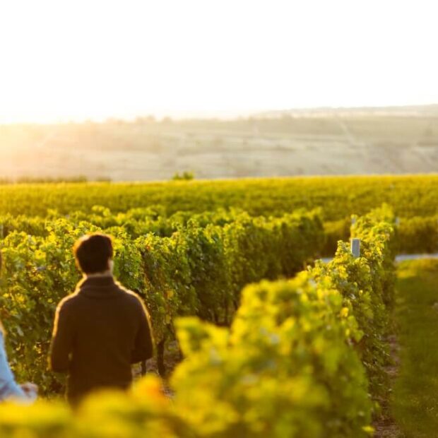 whatsapp image 2024 07 25 at 13.15.24