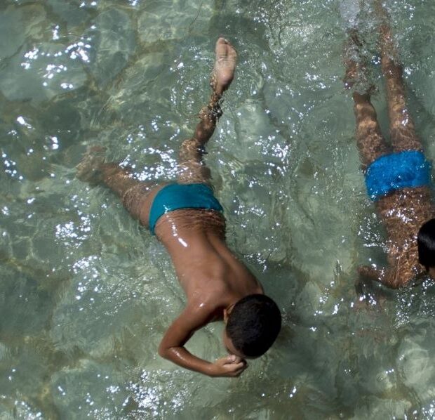 005a1a13 ce13 4add 824e 9c9e3a827727