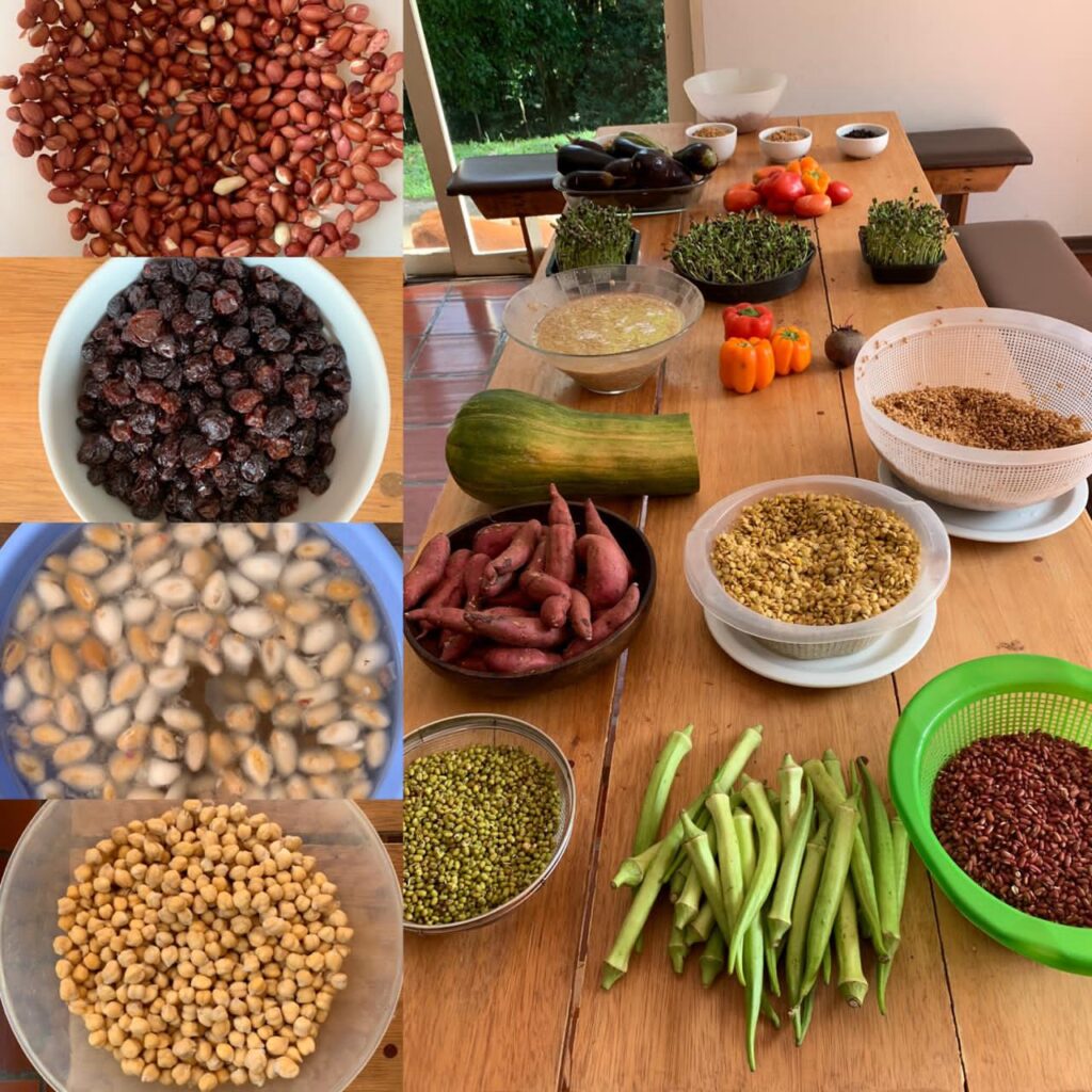 Alimentação viva - biogenia/ Divulgação