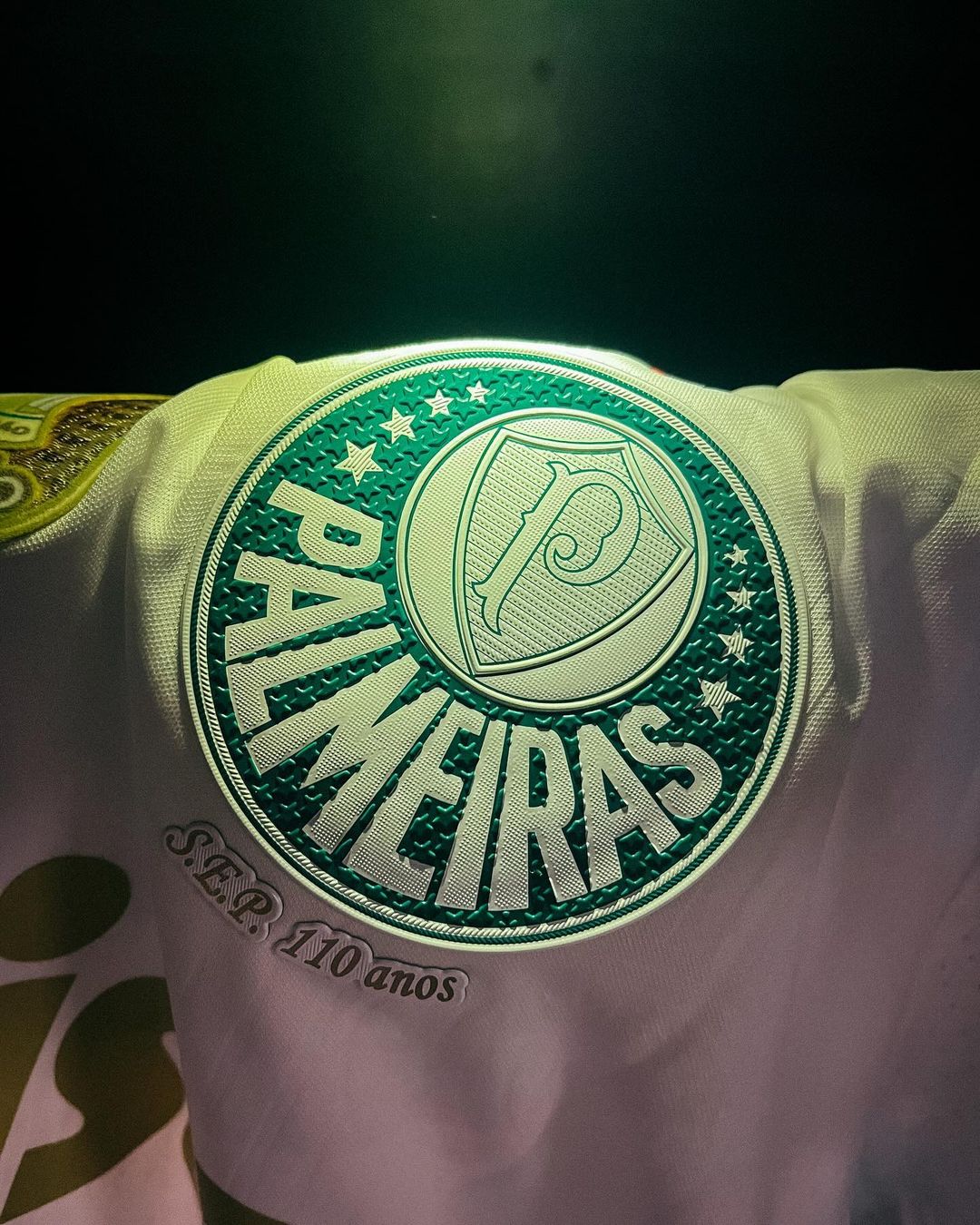 snapinsta.app 452693855 766447295424020 6278959101598132556 n 1080