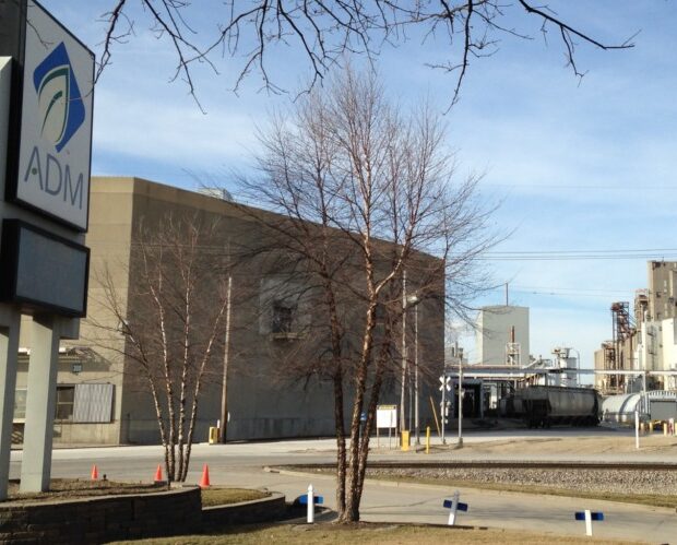 whatsapp image 2024 07 26 at 12.45.40 (1)