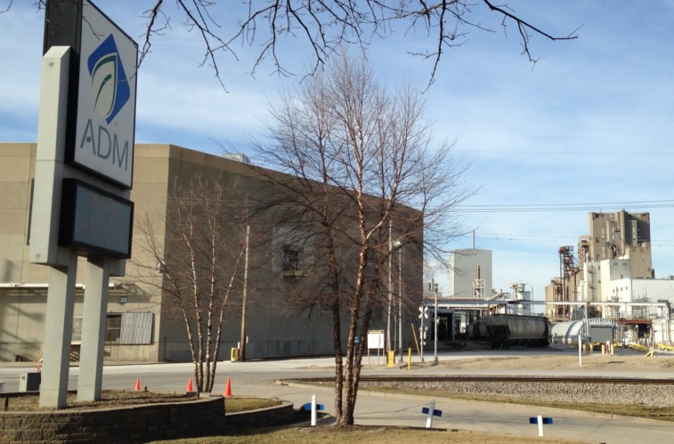 whatsapp image 2024 07 26 at 12.45.40 (1)