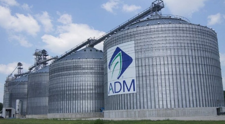 whatsapp image 2024 07 26 at 12.45.41