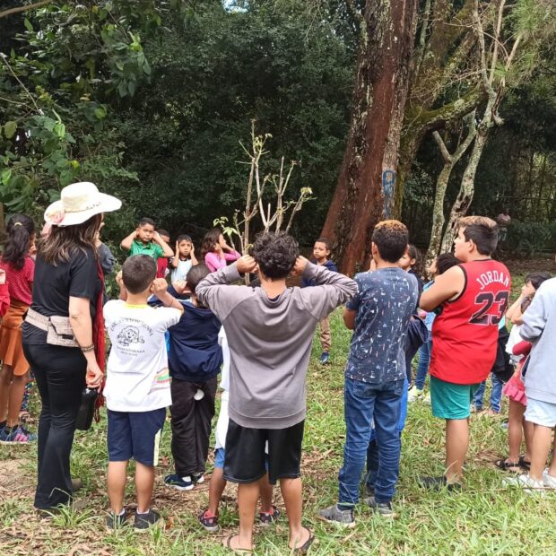 foto 5 mat parque educador