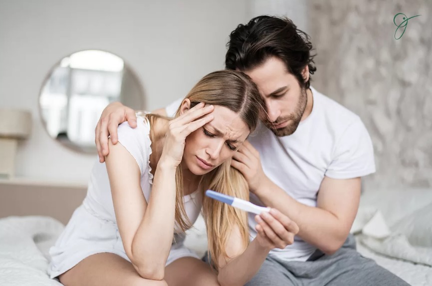 whatsapp image 2024 07 29 at 11.25.47