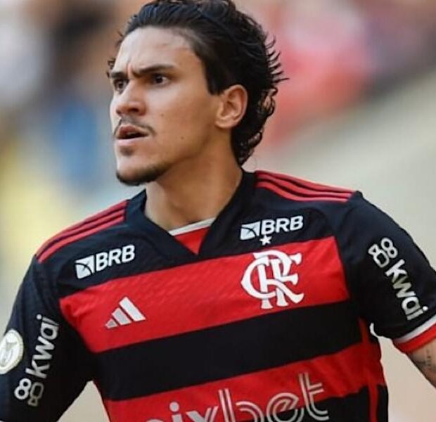 d63bc53d 1db6 4136 af8f 84ca01bc72dd