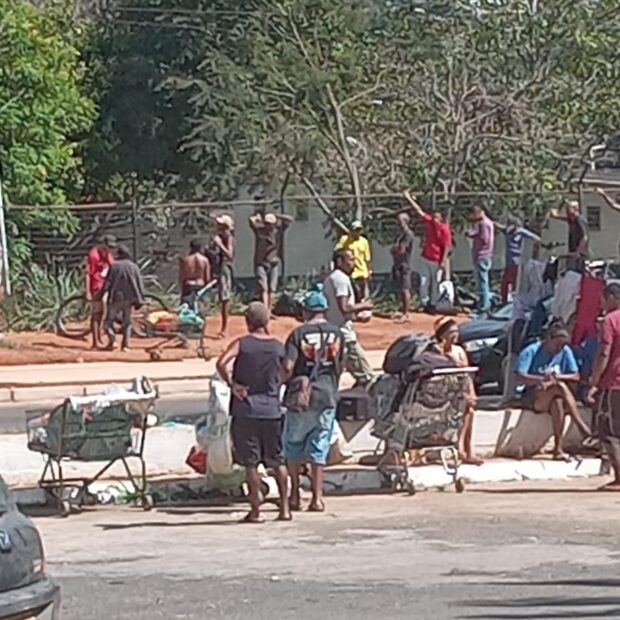 imagem do whatsapp de 2024 07 29 à(s) 20.13.24 71586e96