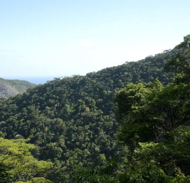 0de3e82a ea25 40a8 a0d8 b249ca3e1bdf