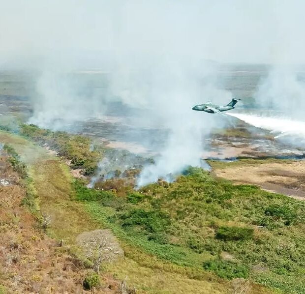 9ceb807a 8a2a 43d0 8b77 17ea2e2f45c0