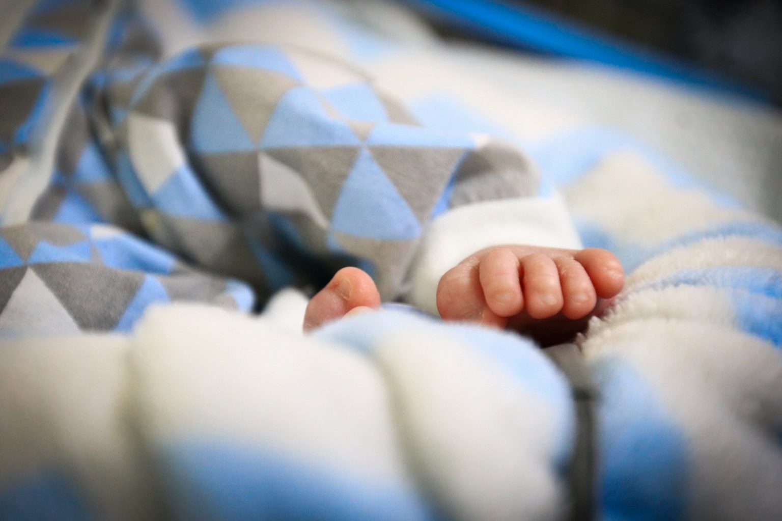 whatsapp image 2024 07 31 at 17.30.28 1536x1023