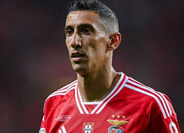 di maria widelg