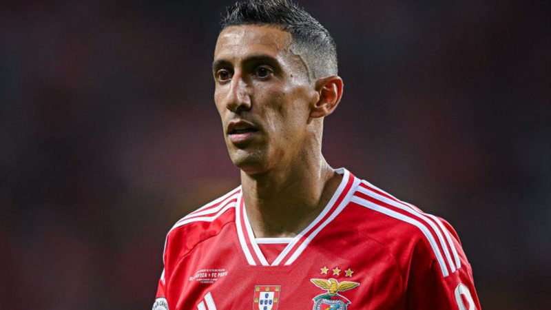 di maria widelg